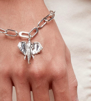 The Elephant Charm