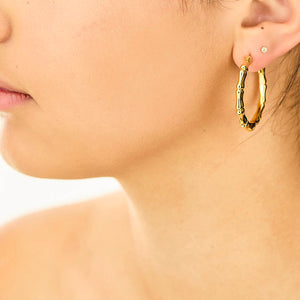 Gold Hoop Earrings