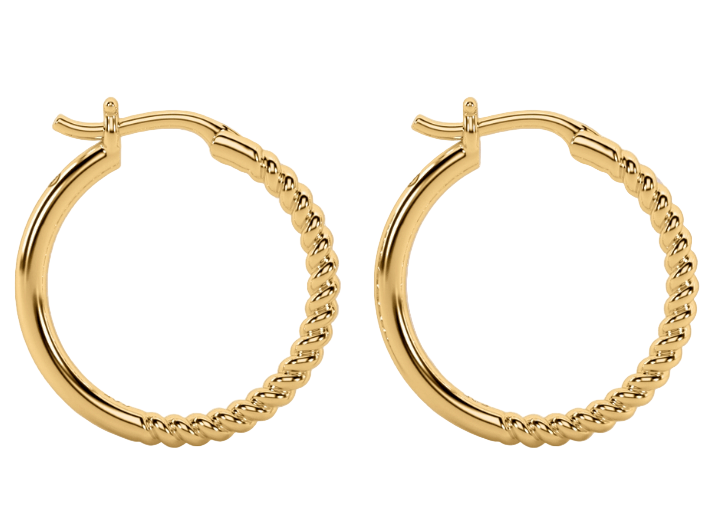 Circle Earrings with a Twist