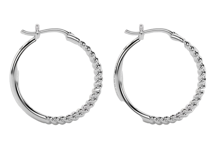 Circle Earrings with a Twist