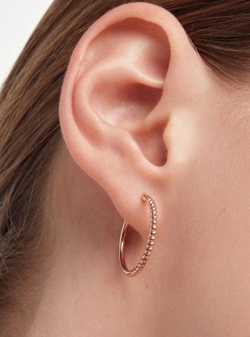 Circle Earrings with a Twist